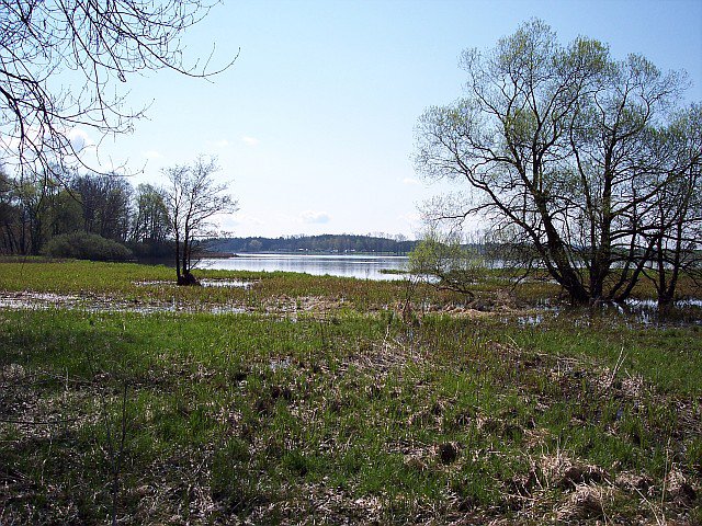 Foto: 15_mokriny 