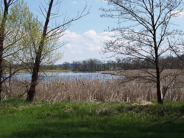 Foto: 16_cestoudoputimi 