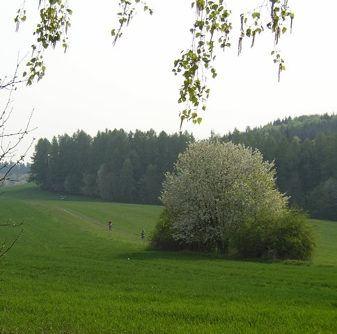 Foto: P5061988 