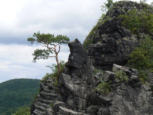 Foto:P1030838