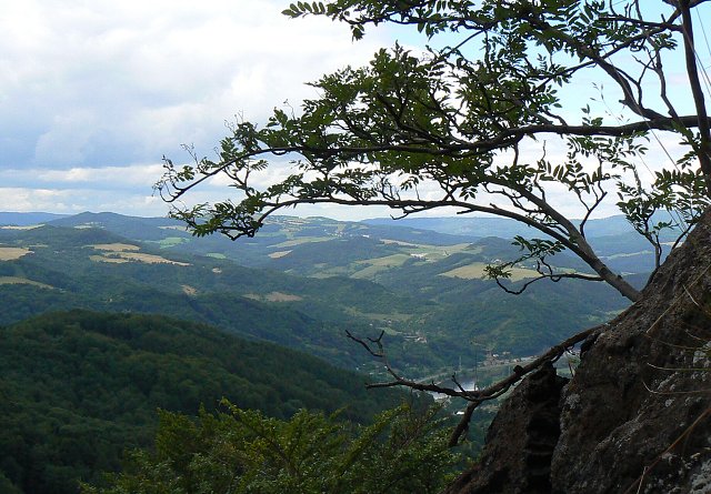 Foto:P1030848
