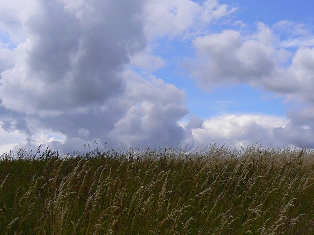 Foto:P1030888