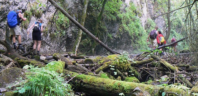 Jméno: P1080714