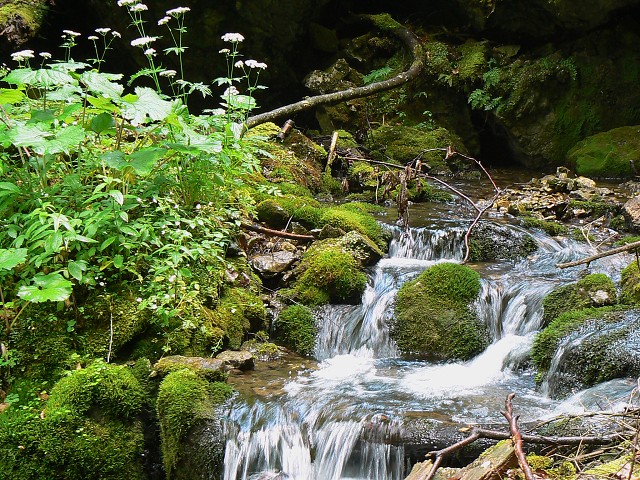 Jméno: P1080725