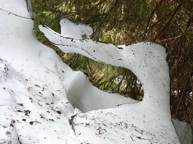 Jméno: P1200847