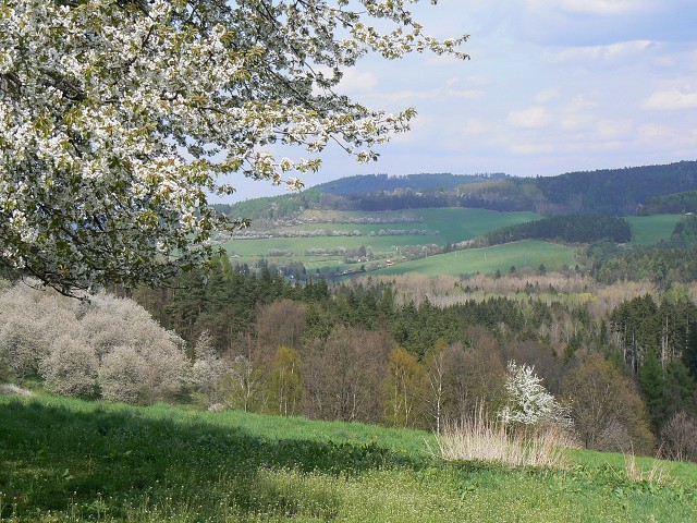 Jméno: P1200929