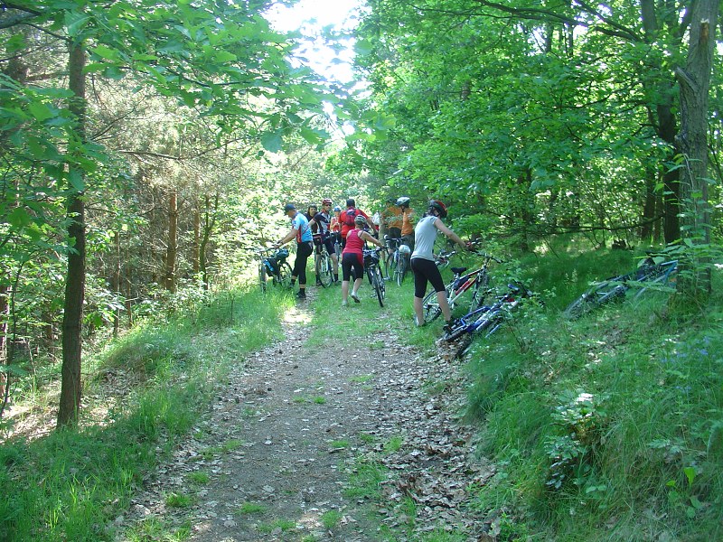 Jméno: DSC05725