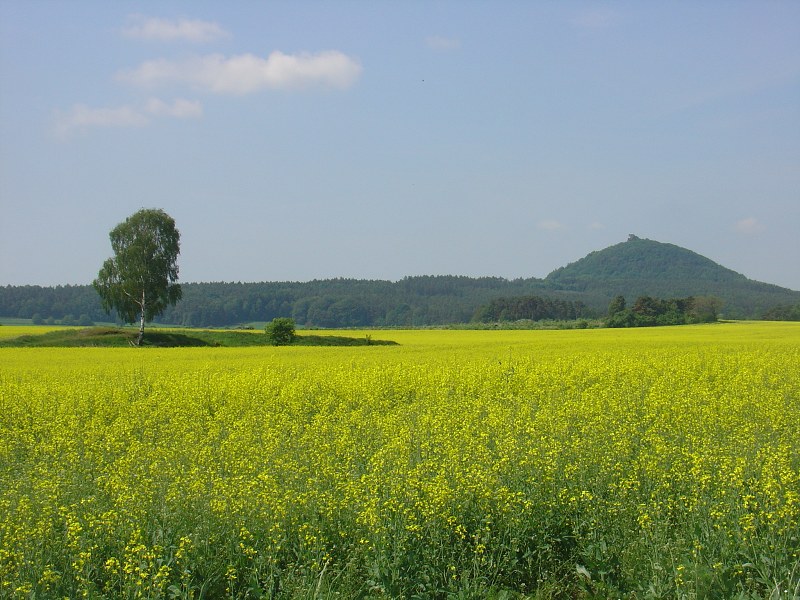 Jméno: DSC05735