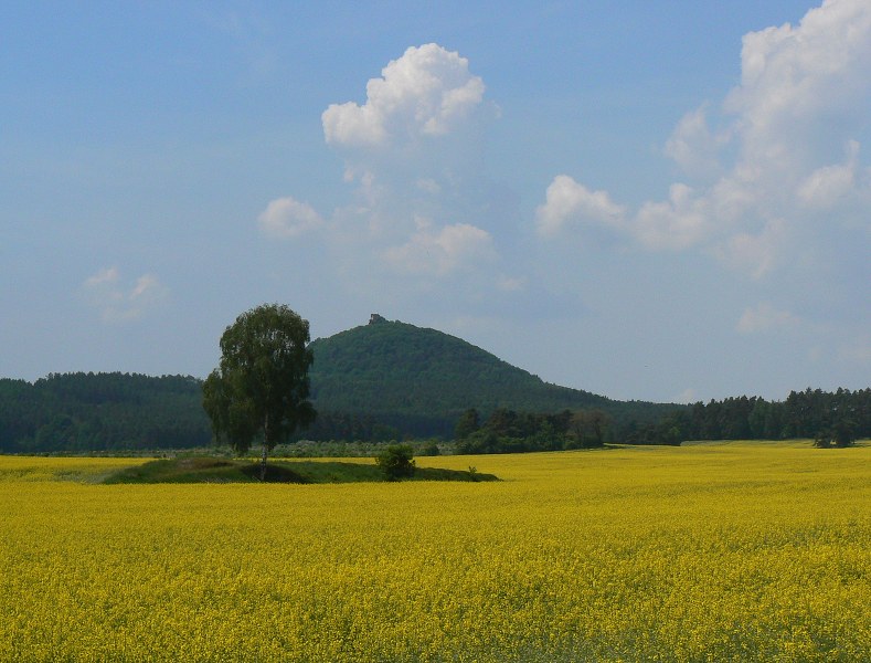 Jméno: P1280353