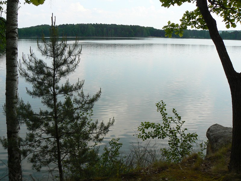Jméno: P1280358