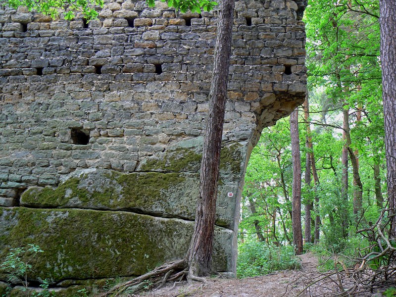 Jméno: P1280361