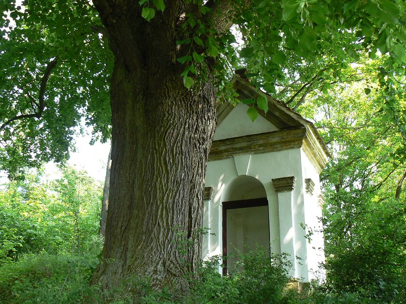 Jméno: P1280362