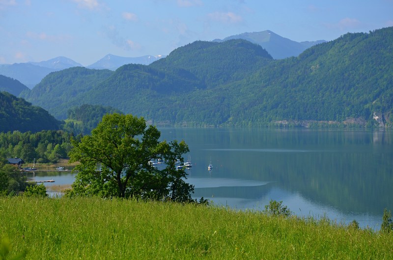 Jméno: DSC_0657