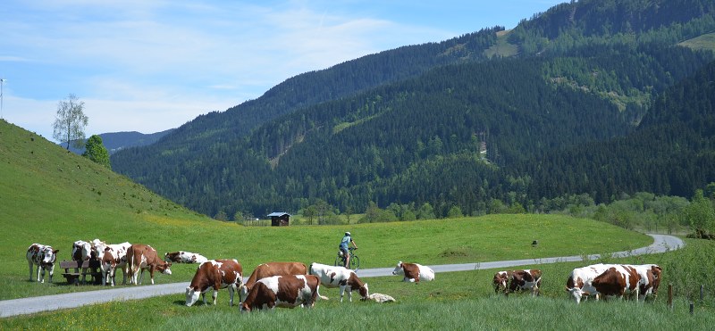Jméno: DSC_0685