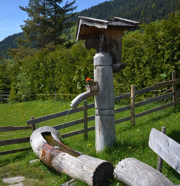 Jméno: DSC_0689