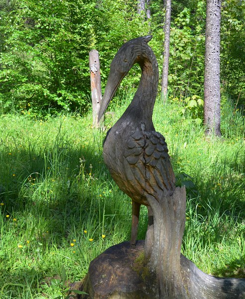 Jméno: DSC_0692
