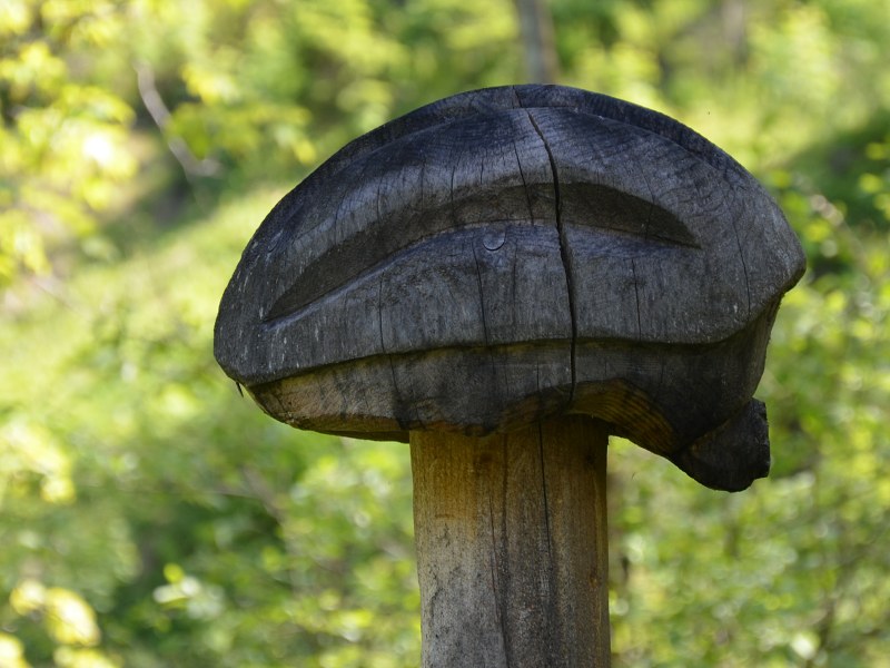 Jméno: DSC_0696