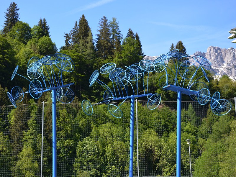 Jméno: DSC_0700