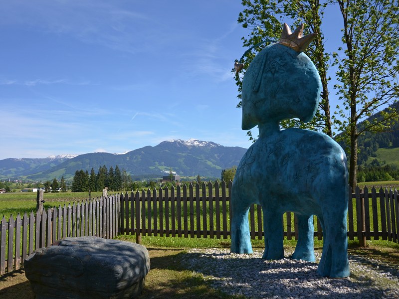 Jméno: DSC_0702
