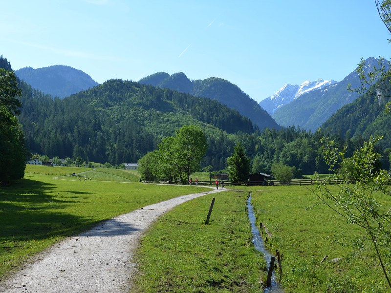 Jméno: DSC_0724