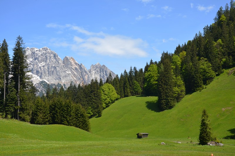Jméno: DSC_0740