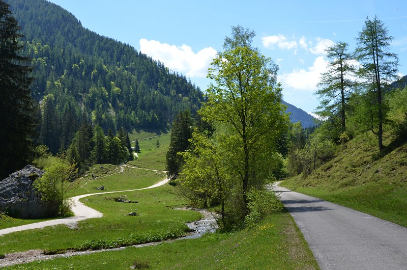 Jméno: DSC_0748