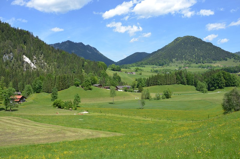 Jméno: DSC_0754