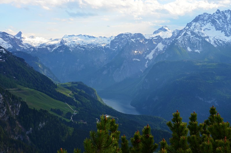 Jméno: DSC_0774