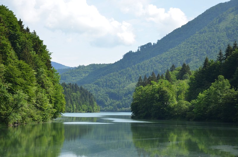 Jméno: DSC_0850