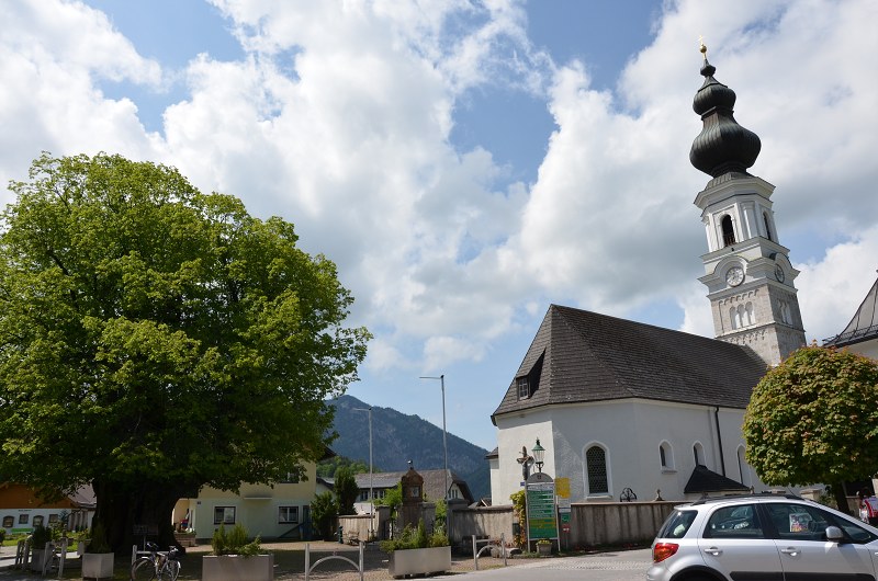 Jméno: DSC_0858