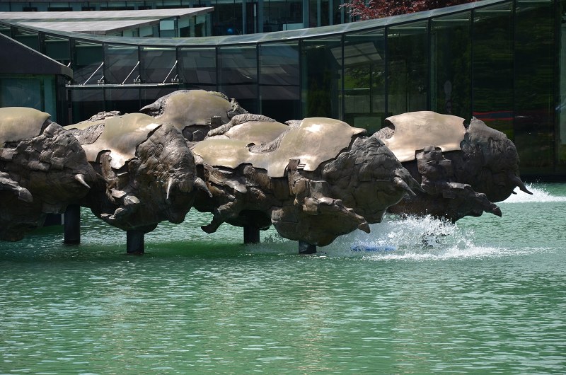 Jméno: DSC_0863