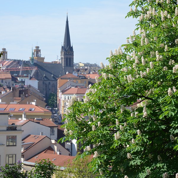 Jméno: DSC_0408
