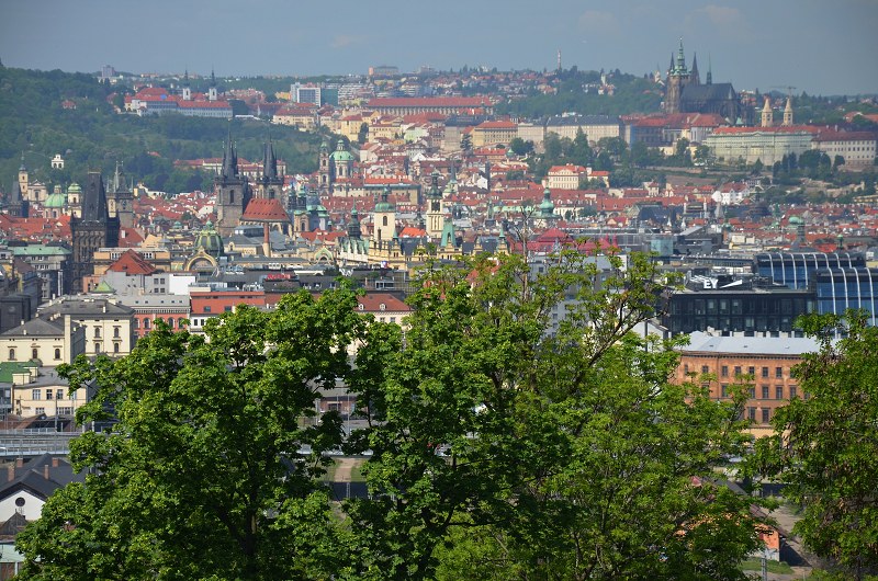 Jméno: DSC_0412