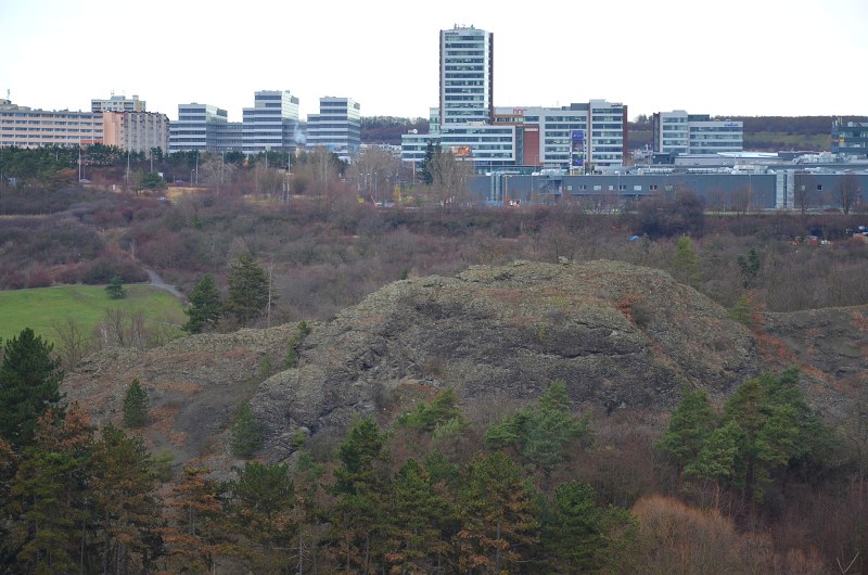 Jméno: DSC_4441