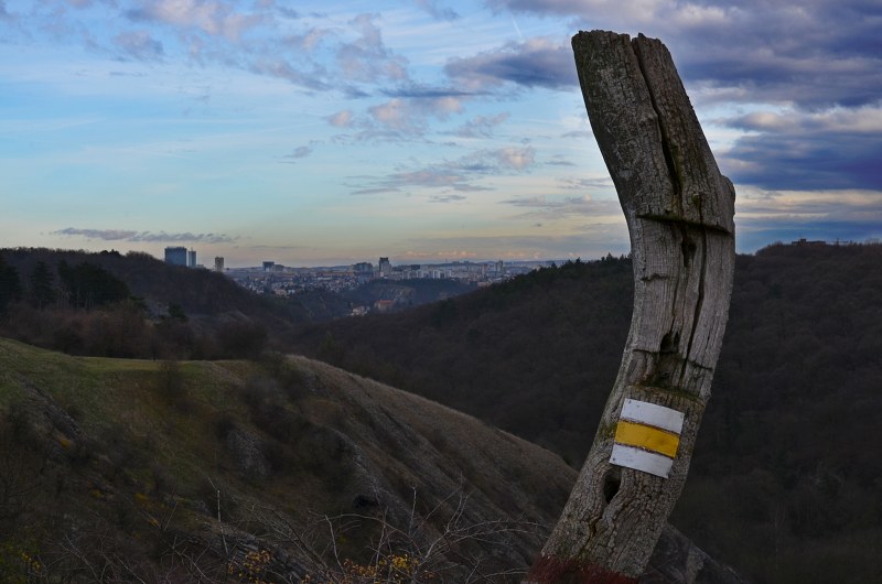 Jméno: DSC_4461