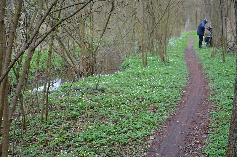 Jméno: DSC_6484