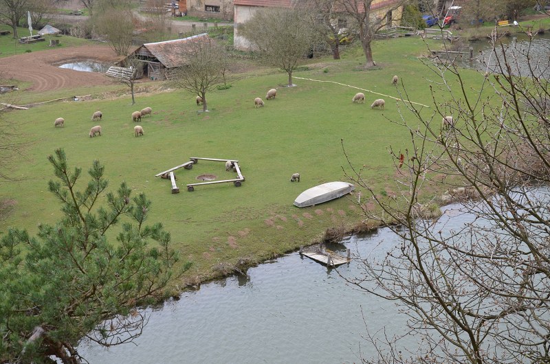 Jméno: DSC_6487