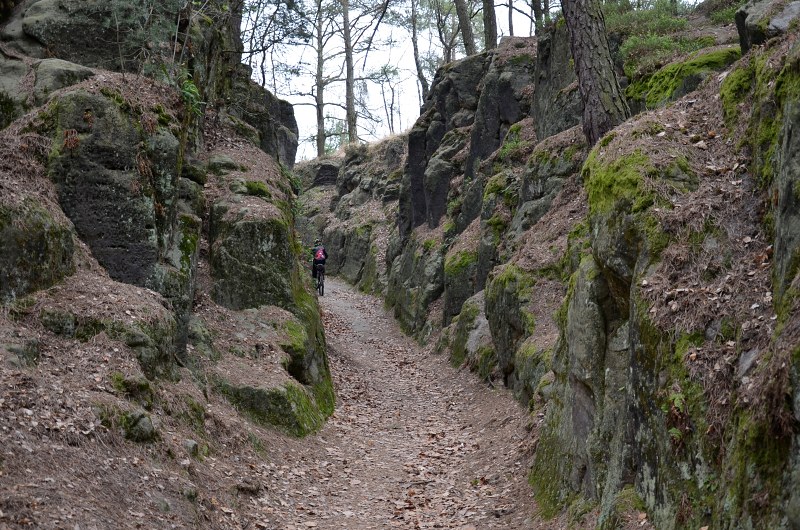 Jméno: DSC_6509